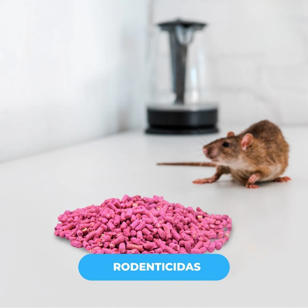 Imagen del producto 2